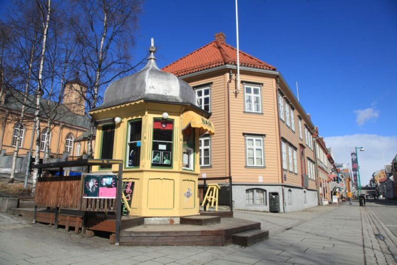 Tromsø: Private City Walk & Culture Experience - Inclusions