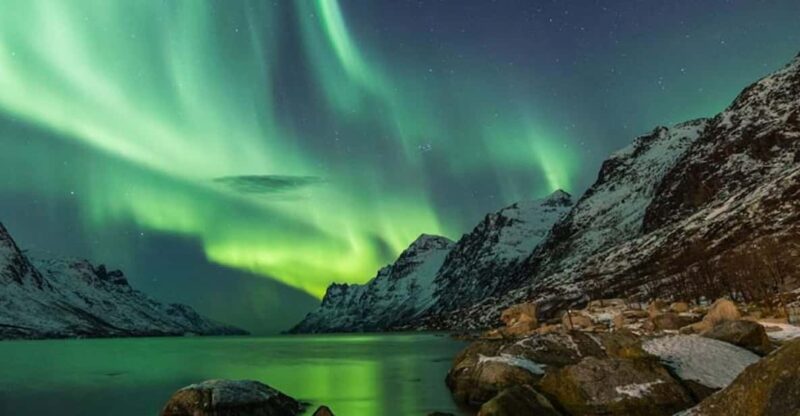 Tromsø: Private or Semi-private Northern Lights Tour - Key Points