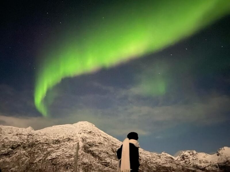 Tromsø: Private or Semi-private Northern Lights Tour - Itinerary Details