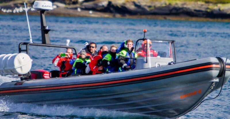 Tromso: Private RIB Speedboat Tour of Hella - Highlights of the Tour