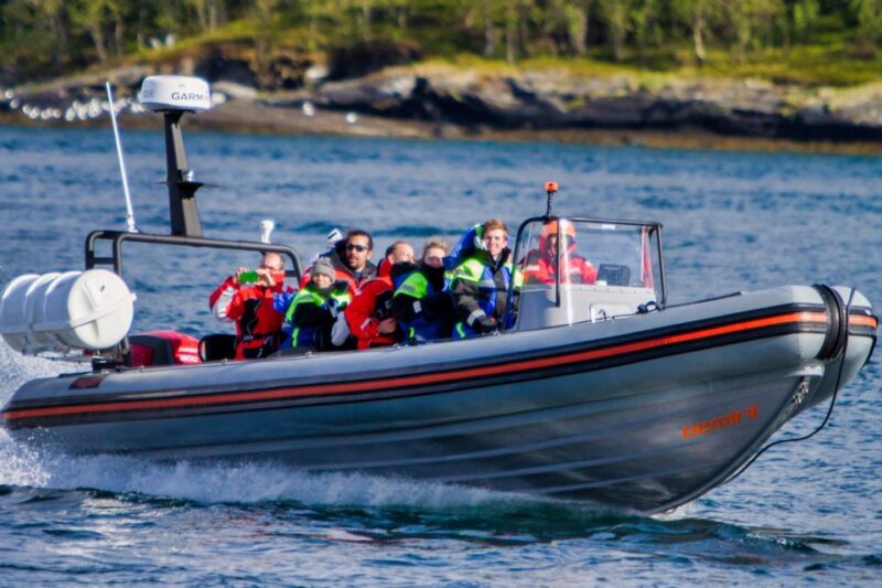 Tromso: Private RIB Speedboat Tour of Hella - Inclusions in the Tour