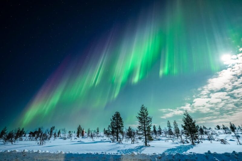 Tromsø: Private Tour With Guaranteed Northern Lights Viewing - Tour Commitment and Unique Features