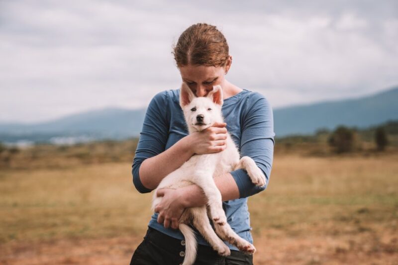 Tromsø: Puppy Training at the Husky Kennel With Lunch - Puppy Training Details
