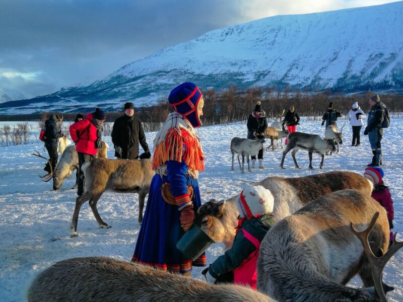 Tromsø: Reindeer Feeding and Sami Cultural Experience - Inclusions