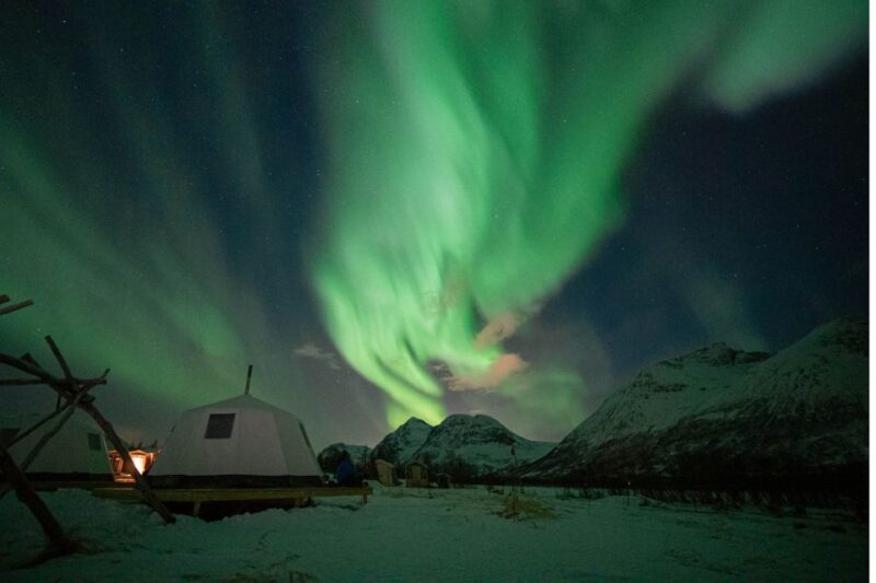 Tromsø: Reindeer Feeding & Chance of Northern Lights Viewing - Key Points