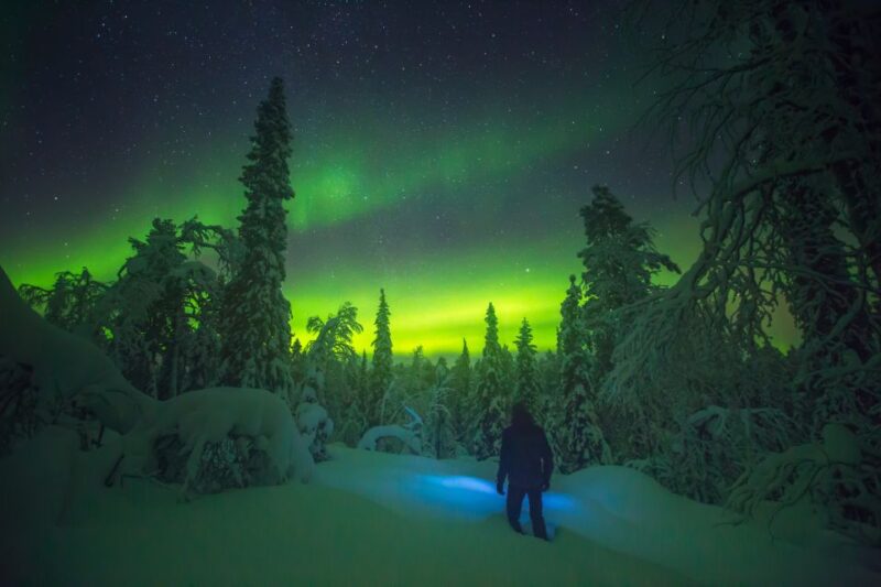 Tromsø: Reindeer Sled, Dinner, and Northern Lights Day Trip - Amenities and Inclusions of the Package