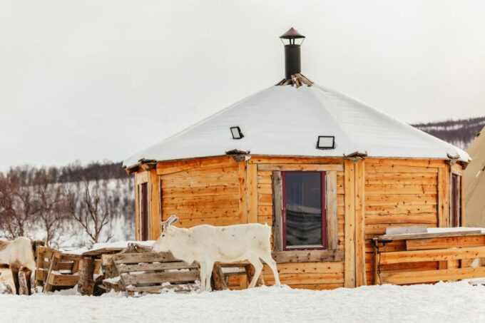 Tromsø: Reindeer Sledding & Feeding With a Sami Guide - Sami Cultural Insights