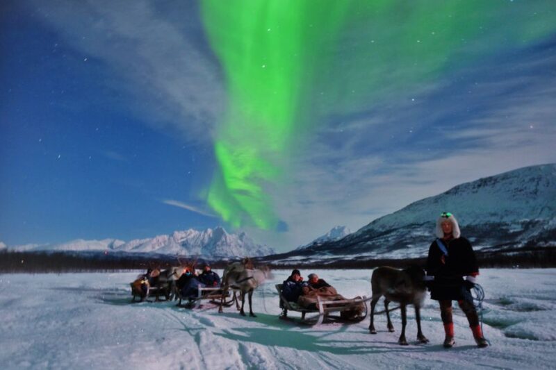 Tromso: Reindeer Sledding With Chance to See Northern Lights - Cultural Experience