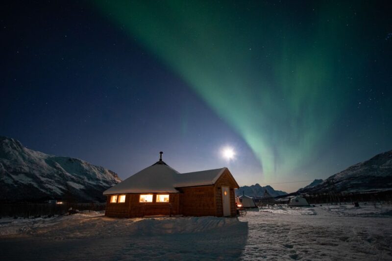 Tromso: Reindeer Sledding With Chance to See Northern Lights - Sledding Experience