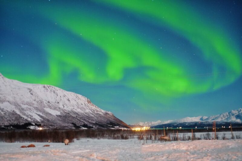 Tromso: Reindeer Sledding With Chance to See Northern Lights - Meeting Point and Attire