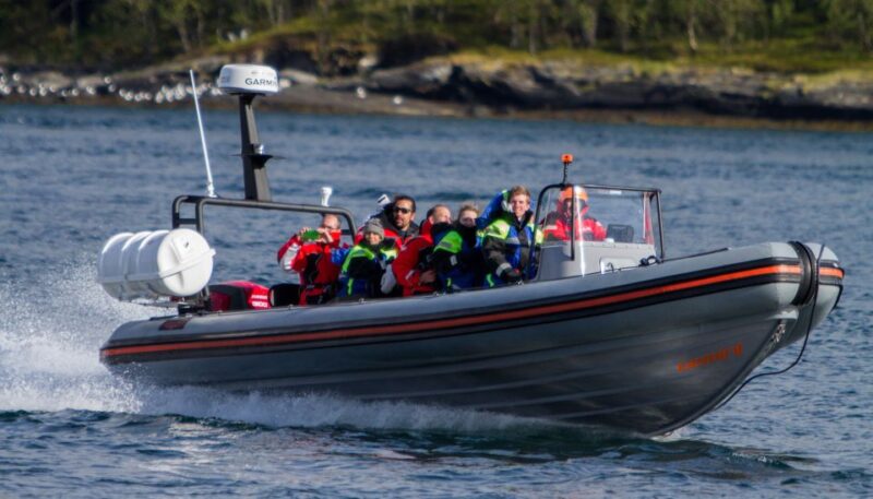 Tromso: RIB-Boat Excursion to Hella - Key Points