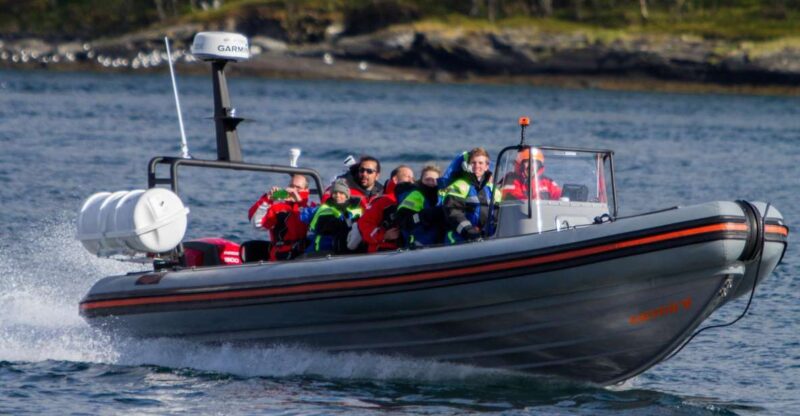 Tromso: RIB-Boat Excursion to Hella - Excursion Highlights