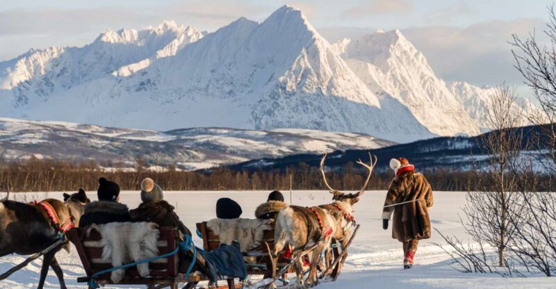 Tromsø: Sámi Reindeer Sledding and Sami Cultural Tour - Experience Highlights