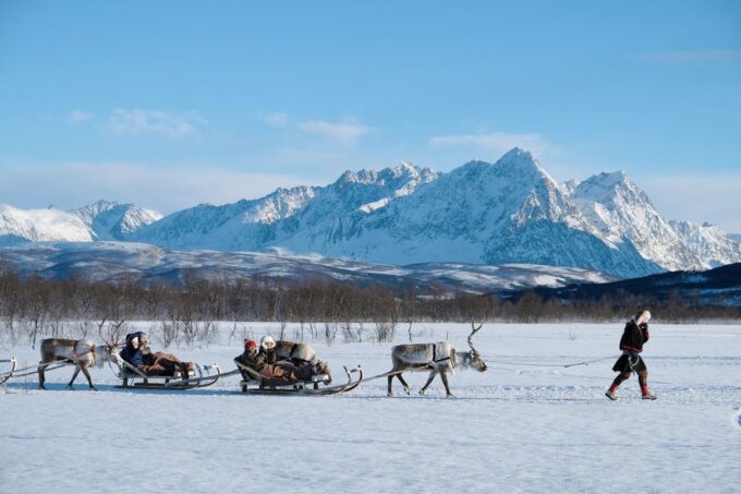 Tromsø: Sámi Reindeer Sledding and Sami Cultural Tour - Sami Culture and Traditions