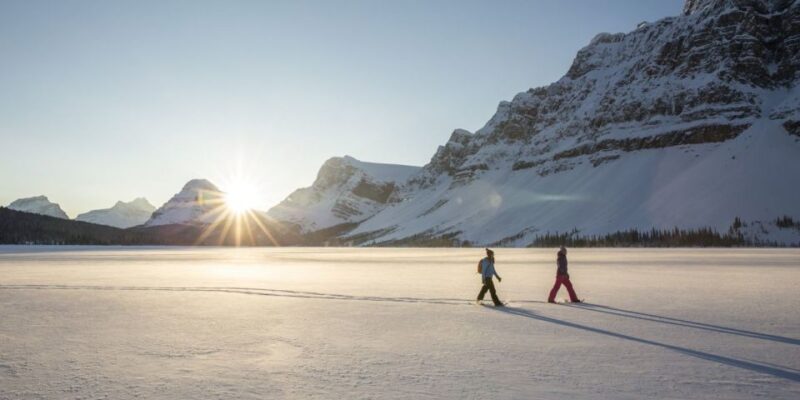 Tromso: Scenic & Eco-Friendly Snowshoeing Tour - Key Points