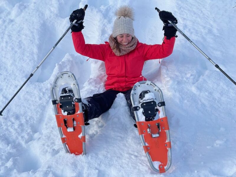 Tromso: Scenic & Eco-Friendly Snowshoeing Tour - Whats Included