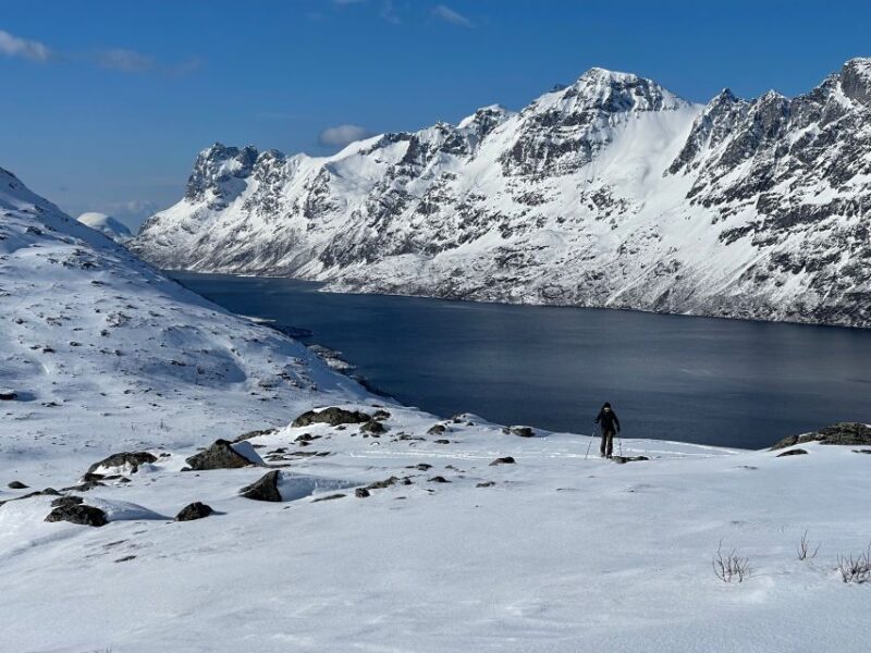 Tromso: Scenic & Eco-Friendly Snowshoeing Tour - Customer Ratings and Feedback