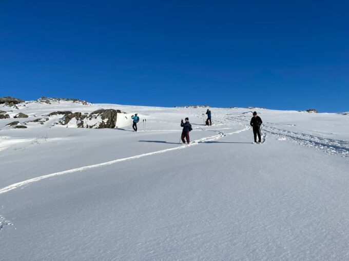 Tromso: Scenic & Eco-Friendly Snowshoeing Tour - Recap