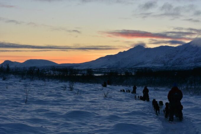 Tromsø: Self-Drive Husky Dog Sledding Adventure - Packing for the Adventure