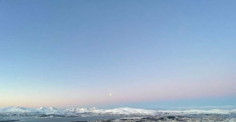Tromso: Sightseeing Cruise by Catamaran With Snacks & Drinks - Scenic and Wildlife Highlights
