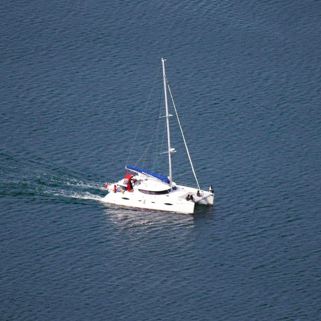 Tromso: Sightseeing Cruise by Catamaran With Snacks & Drinks - Customer Reviews and Ratings
