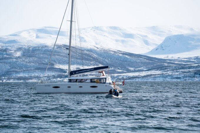 Tromso: Sightseeing Cruise by Catamaran With Snacks & Drinks - Recap