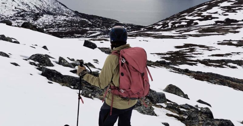 Tromsø: Ski Touring (Ski Randonnee) - Experience Highlights