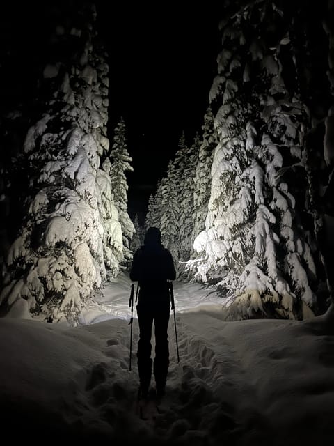 Tromsø: Ski Touring (Ski Randonnee) - Group Size and Languages