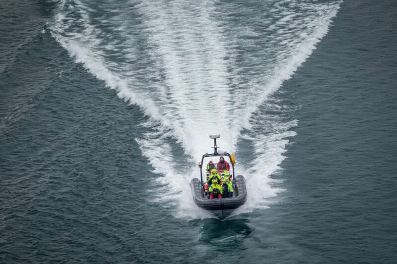 Tromsø: Skjervøy RIB Whale Watching Tour - Key Points