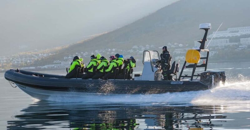 Tromsø: Skjervøy RIB Whale Watching Tour - Customer Reviews & Feedback