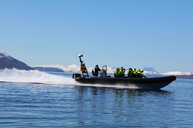 Tromsø: Skjervøy RIB Whale Watching Tour With Drinks & Snack - Inclusions and Equipment