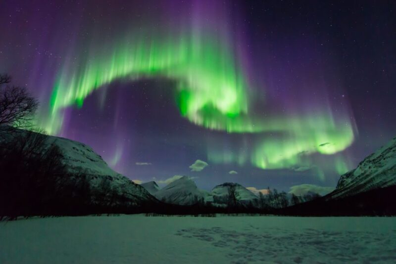 Tromsø: Small Group Aurora Hunt Tour With Citizen Science - Included Amenities