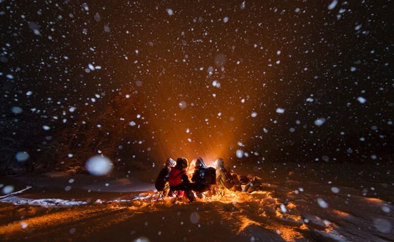 Tromsø: Small Group Aurora Hunt Tour With Citizen Science - Customer Ratings