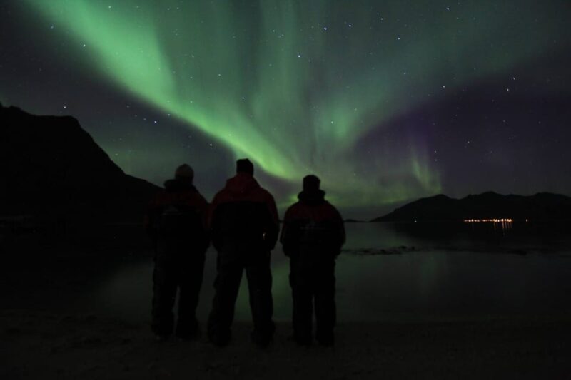 Tromsø: Small Group Northern Lights Hunt - Customer Reviews