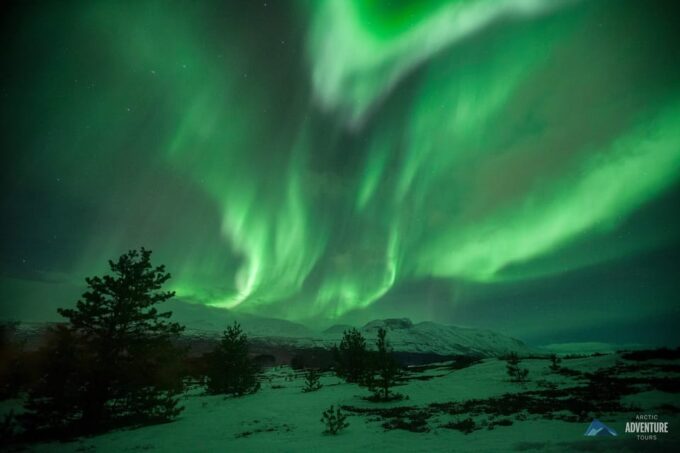 Tromsø: Small Group Northern Lights Hunt - Frequently Asked Questions