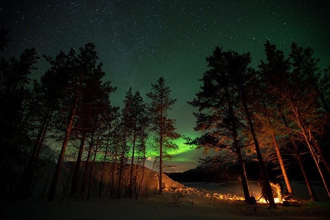 Tromsø: Small Group Northern Lights Hunt - Age and Accessibility Requirements