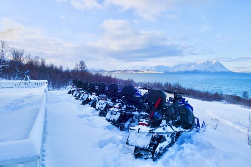 Tromsø: Snowmobile Safari With Aurora Crystal Lavvo Stay - Participant Requirements