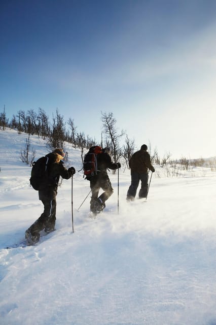 Tromsø: Snowshoe Hiking With Campfire in Kvaløya - Important Considerations
