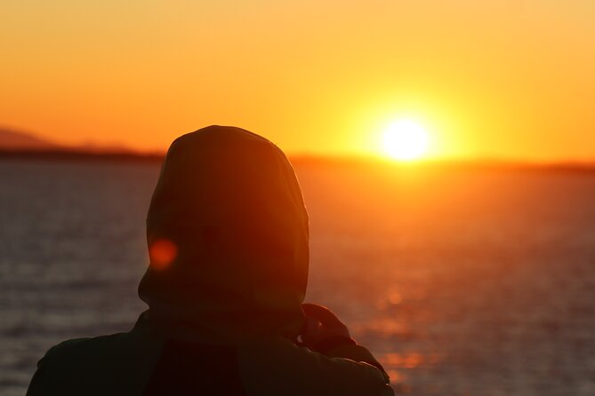 Tromsø & Sommarøy - Private Coastal Tour With a Local - Additional Details
