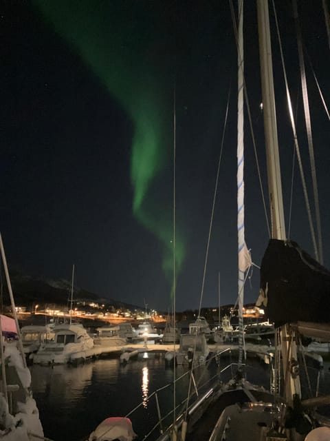 Tromsø: Take to Kaldfjord on a Sailboat - Itinerary and Highlights
