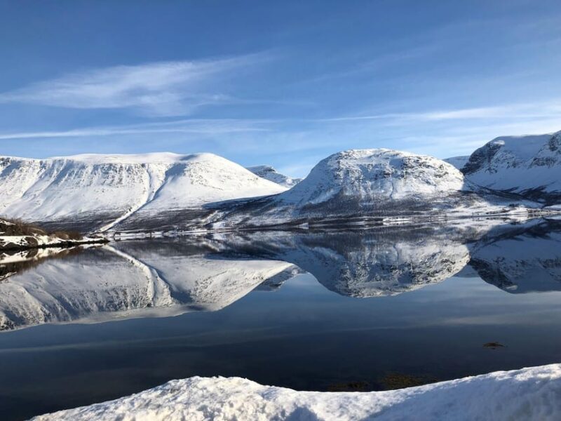 Tromsø Whale Safari With MS Gabriele - Itinerary Details