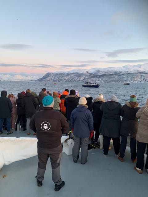 Tromsø Whale Safari With MS Trolltind Nordic - Scenic Tour Highlights