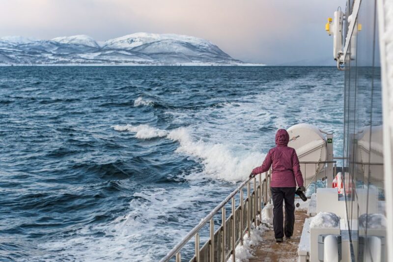 Tromsø: Whale Watching Tour by Hybrid-Electric Catamaran - Vessel and Onboard Amenities