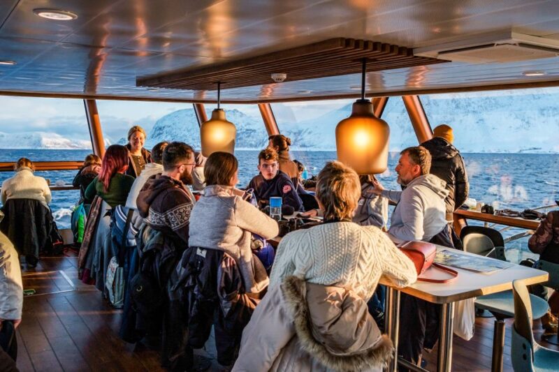 Tromsø: Whale Watching Tour by Hybrid-Electric Catamaran - Knowledgeable and Experienced Guides