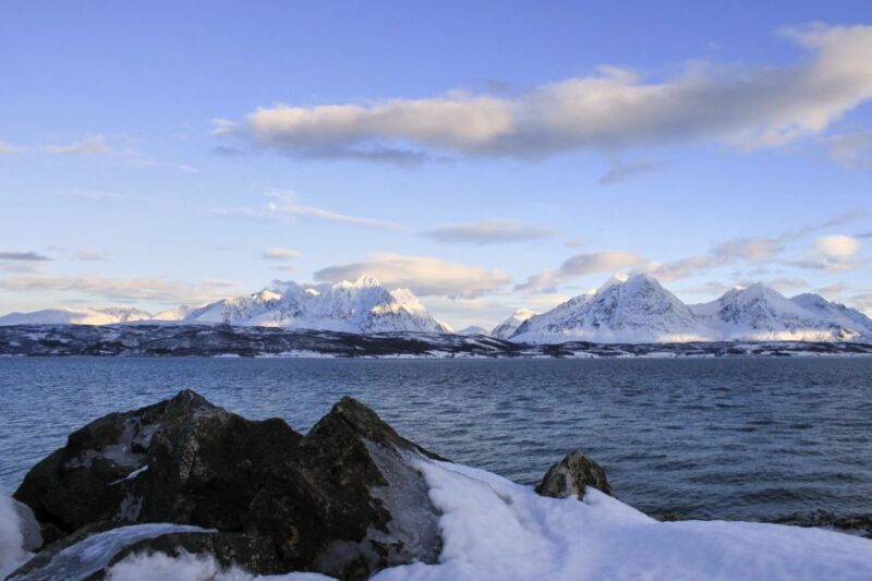 Tromsø: Wildlife Bird Fjord Cruise With Lunch and Drinks - Onboard Amenities