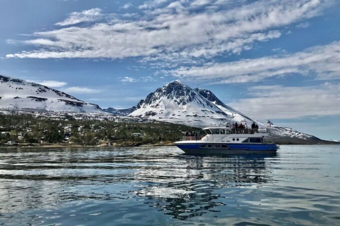 Tromsø: Wildlife Bird Fjord Cruise With Lunch and Drinks - Wildlife Viewing Opportunities