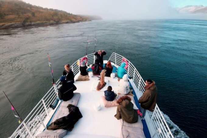 Tromsø: Wildlife Bird Fjord Cruise With Lunch and Drinks - Vessel Comfort and Safety