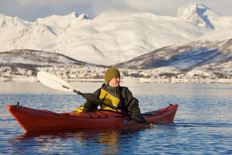 Tromsø: Winter Sea Kayaking Tour With Wildlife Sightings - Key Points