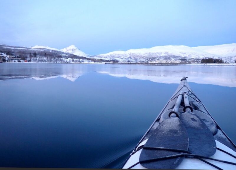 Tromsø: Winter Sea Kayaking Tour With Wildlife Sightings - Wildlife and Scenic Experience
