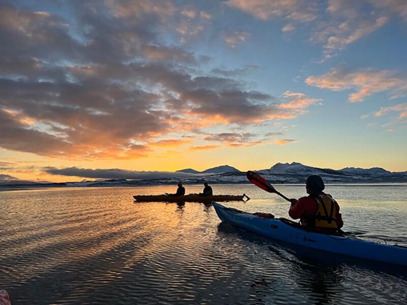 Tromsø: Winter Sea Kayaking Tour With Wildlife Sightings - Tour Itinerary